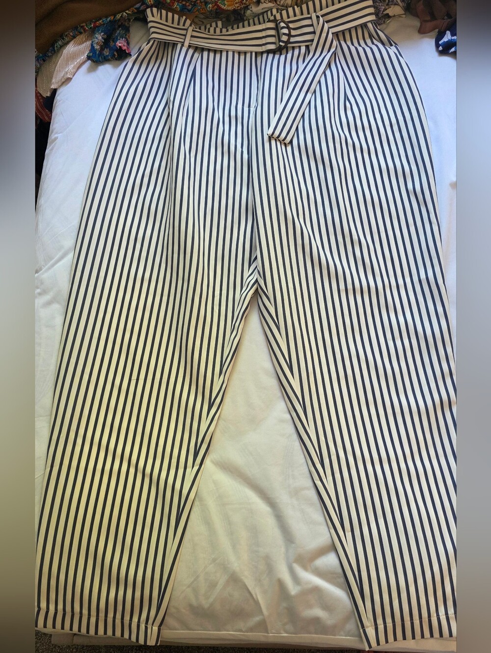 Blue and White Striped Women's Pants